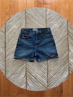 Zara x Rhuigi Denim Shorts (30)